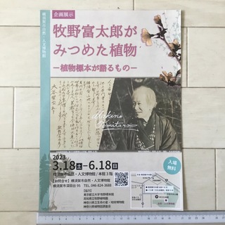 残４枚！企画展示 牧野富太郎がみつめた植物  横須賀市自然 人文博物館A4チラシ(印刷物)