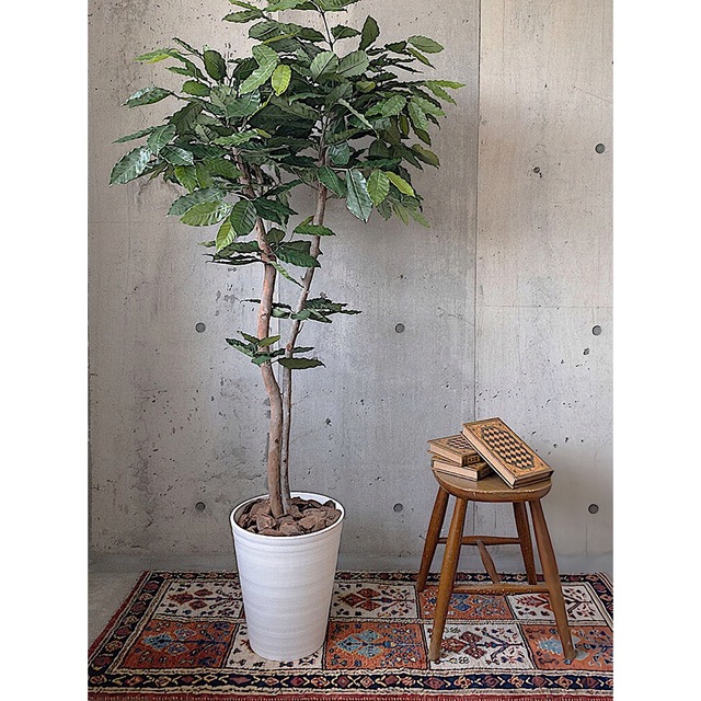 光触媒 人工観葉植物 ウォールグリーン フェイクグリーン コーヒーの木