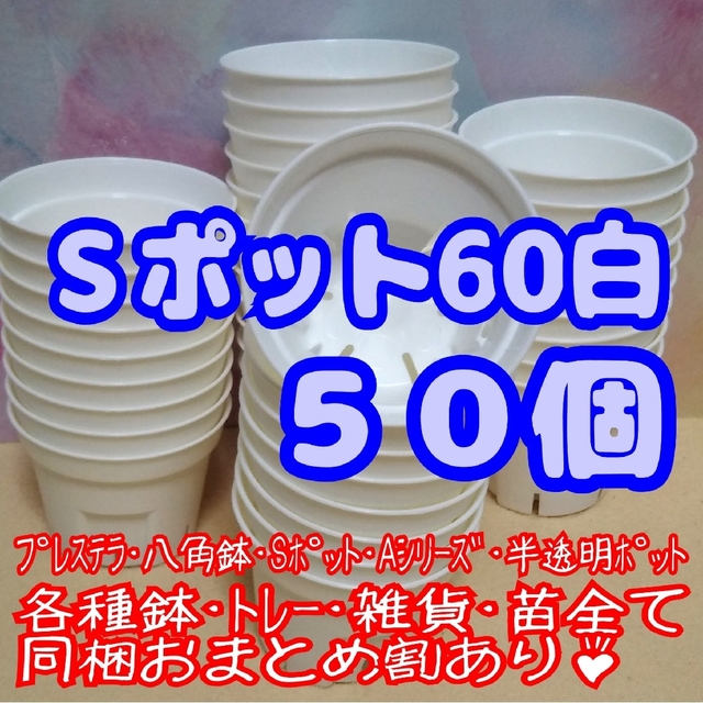 《Sポット60》白 50個 スリット鉢 プラ鉢 2号鉢相当 多肉植物 プレステラ ハンドメイドのフラワー/ガーデン(プランター)の商品写真