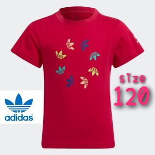 アディダス(adidas)の新品★ adidas アディダス トレフォイル Tシャツ ジュニア 120(Tシャツ/カットソー)