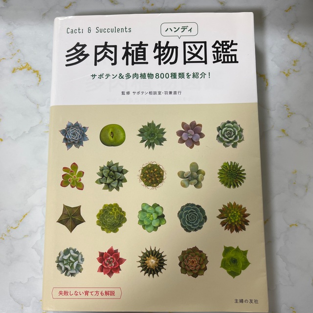 多肉植物ハンディ図鑑 サボテン＆多肉植物８００種類を紹介！ エンタメ/ホビーの本(趣味/スポーツ/実用)の商品写真