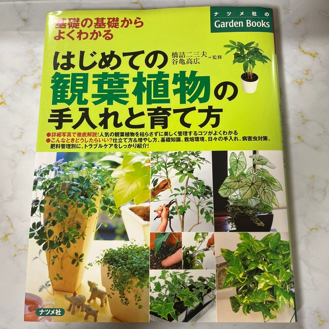 はじめての観葉植物の手入れと育て方 基礎の基礎からよくわかる エンタメ/ホビーの本(趣味/スポーツ/実用)の商品写真