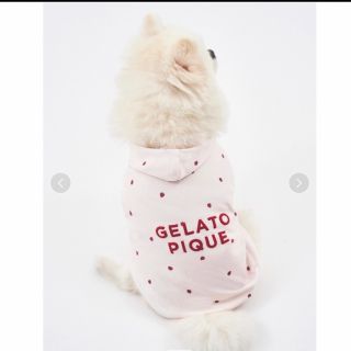 ジェラートピケ(gelato pique)の美品GELATOPIQUE CAT&DOGコットンモダールストロベリー柄フーディ(犬)