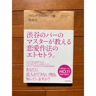 ワイングラスのむこう側(文学/小説)