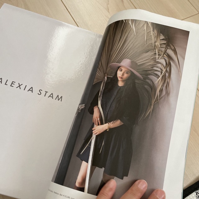 ＡＬＥＸＩＡ　ＳＴＡＭ　ＳＰＥＣＩＡＬ　ＢＯＯＫ エンタメ/ホビーの本(住まい/暮らし/子育て)の商品写真