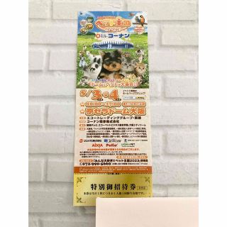 ペット王国2023 特別招待券(その他)