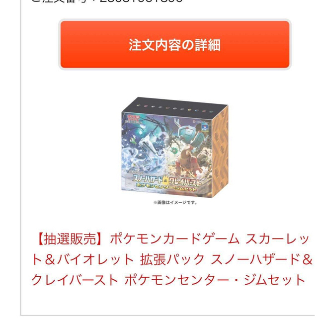 ポケモンセンターオンライン購入　クレイバースト　2BOXセット　新品未開封品