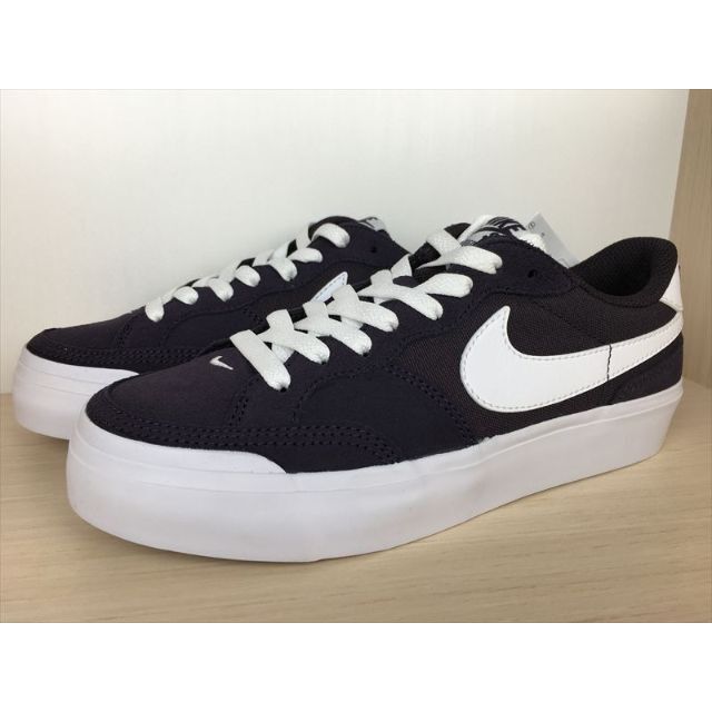 NIKE SB ズームポゴプラス 23cm