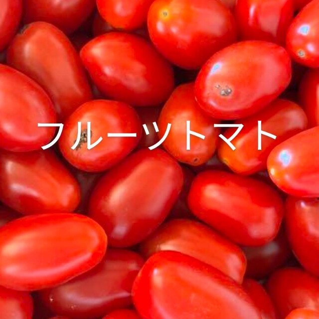 サンマルツァーノ🍅   プラム型🍅 食品/飲料/酒の食品(野菜)の商品写真