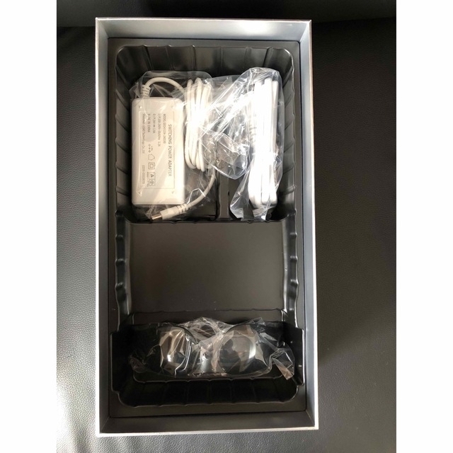 高品質人気SALE HOME STLASSH 家庭用光脱毛美容器 フェイスマスク付の