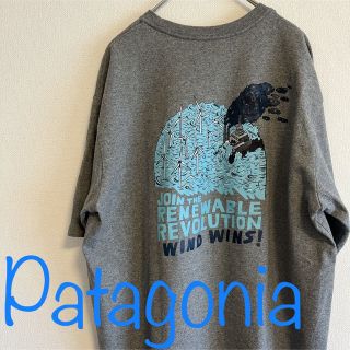 パタゴニア(patagonia)のPatagonia パタゴニア　半袖Tシャツ(Tシャツ/カットソー(半袖/袖なし))