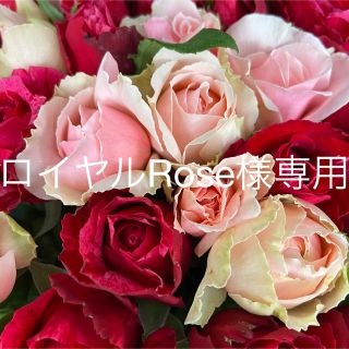 ロイヤルRose様専用　赤ピンク系　ラッピング＆メッセージカード込み(その他)