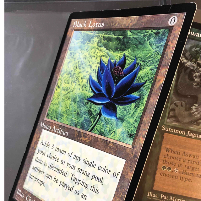 大判カード Black Lotus ブラックロータス scrye MTG 1枚