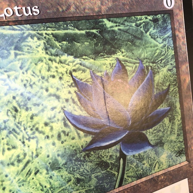 大判カード Black Lotus ブラックロータス scrye MTG 1枚