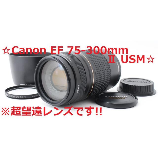 美品♪☆定番望遠レンズ☆ Canon EF 75-300mm Ⅱ #5125