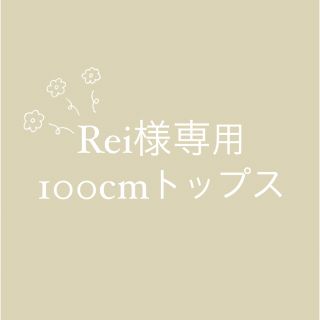 ˗ˋˏバースデイ/cottoliˎˊ˗100cmトップス(Tシャツ/カットソー)