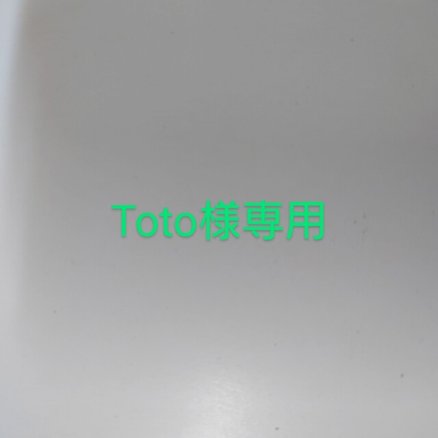 Toto様専用 スピード発送 51.0%OFF allup.com.co