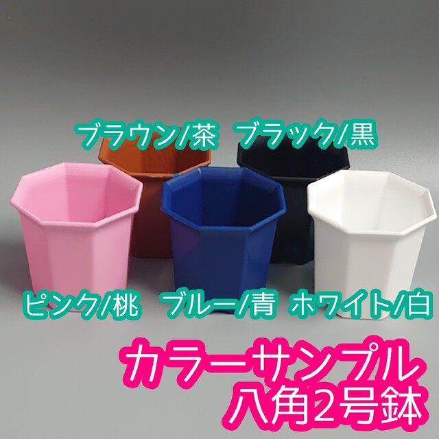 限定色▶八角鉢 2号 ピンク 40個 サボテン 多肉植物 エケベリア  プラ鉢 ハンドメイドのフラワー/ガーデン(プランター)の商品写真