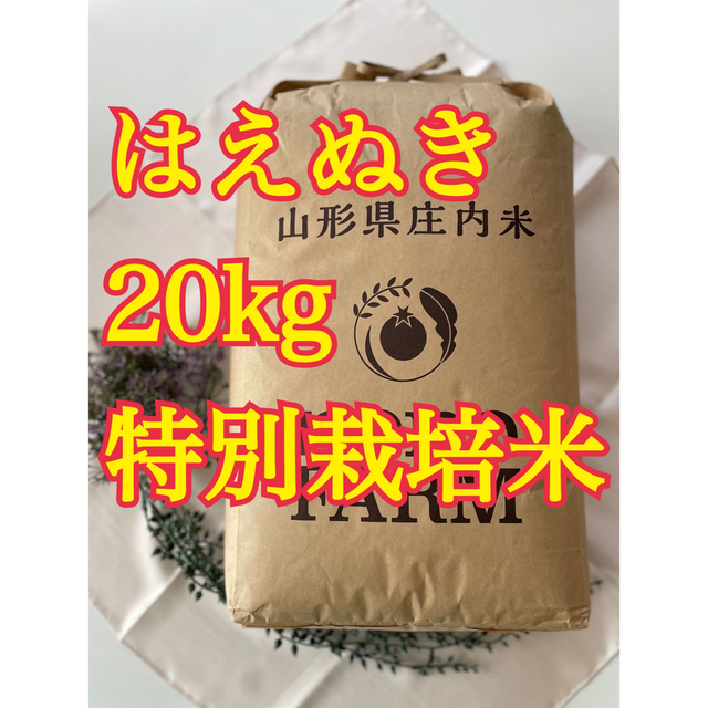 令和4年産　米/穀物　はえぬき　山形　20kg　特別栽培米