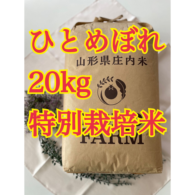 ひとめぼれ　20kg 山形　特別栽培米　令和4年産食品/飲料/酒