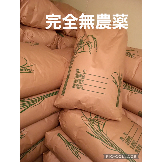 にこまる 10kg 農薬不使用 玄米 日本国産 農家直送 美容健康 即日配送