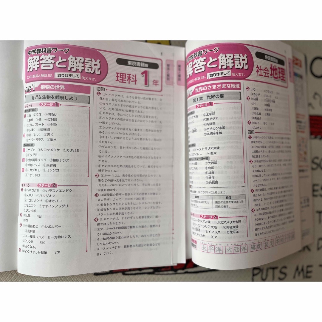 中学教科書ワ－ク 理科　社会地理　中学1年 エンタメ/ホビーの本(語学/参考書)の商品写真