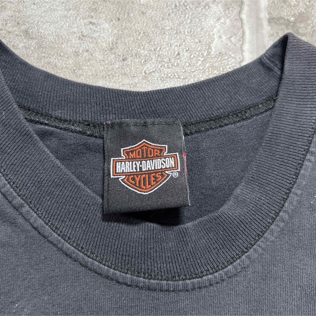 Harley Davidson(ハーレーダビッドソン)のハーレーダビッドソン　カットオフT　両面プリント　髑髏　ボロ　ペンキ　雰囲気　L メンズのトップス(Tシャツ/カットソー(半袖/袖なし))の商品写真