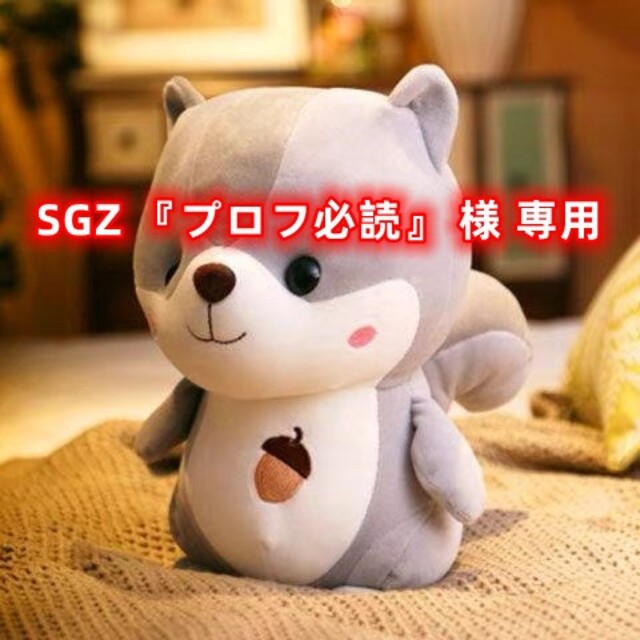 SGZ 『プロフ必読』 様 専用の通販 by LEE 's shop｜ラクマ