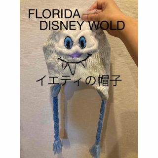 ディズニー(Disney)のFLORIDA DISNEY WOLD 購入　イエティのニット帽子　ディズニー(ニット帽/ビーニー)