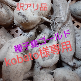 kobato様専用(野菜)