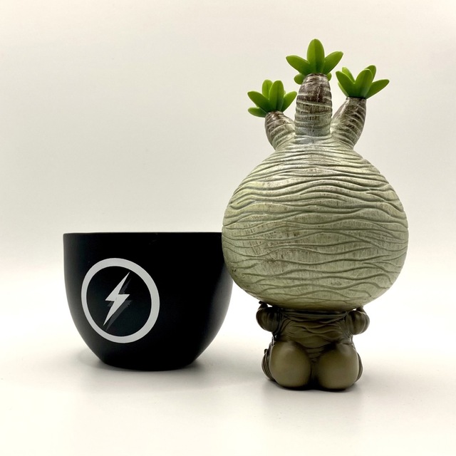 塊根植物フィギュア⑥の通販 by あべさん|ラクマ 塊根植物フィギュア⑥の通販 by あべさん|ラクマ