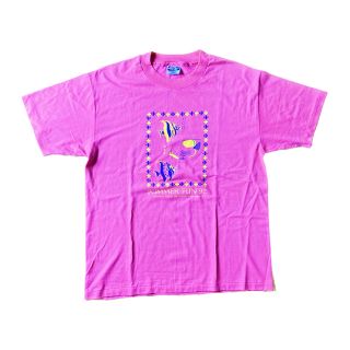 ヘインズ(Hanes)の90s ビンテージプリントTシャツ Lサイズ ピンク Hanes シングル(Tシャツ/カットソー(半袖/袖なし))