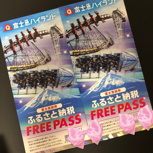 富士急ハイランド　フリーパス　2枚　(有効期限：2021年8月31日)