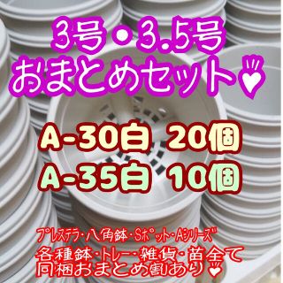 プラ鉢30個おまとめセット♪【A-30×20個・A-35×10個】プレステラ多肉(プランター)