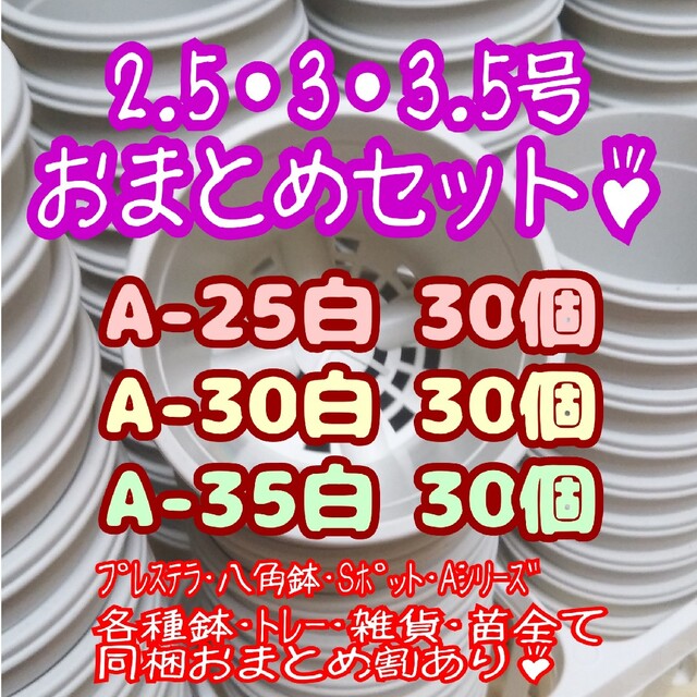 プラ鉢90個セット♪【A-25・A-30・A-35 各30個】プレステラ多肉