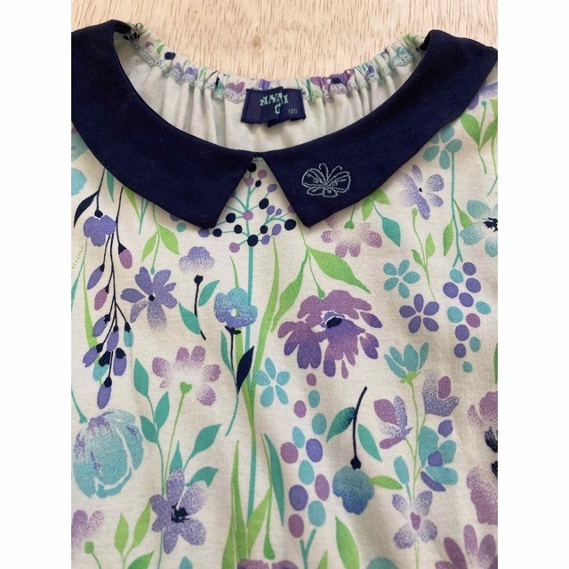 ANNA SUI mini(アナスイミニ)の＊ご専用です＊ キッズ/ベビー/マタニティのキッズ服女の子用(90cm~)(ワンピース)の商品写真