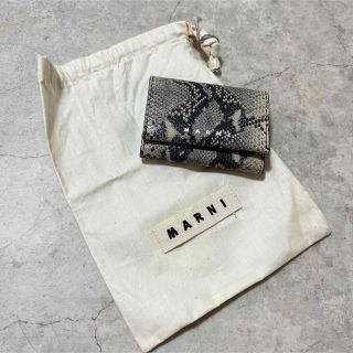 マルニ(Marni)のmarni パイソン ミニ財布 マルニ Python(折り財布)