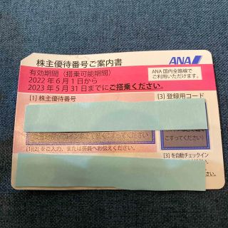 エーエヌエー(ゼンニッポンクウユ)(ANA(全日本空輸))のANA 株主優待券　1枚(その他)