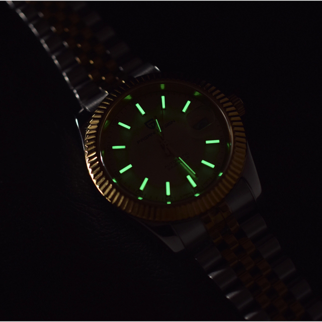 PAGANI DESIGN メンズ 腕時計 高級 ゴールド 機械式 自動巻