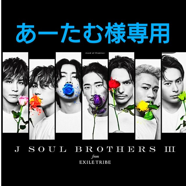 三代目 J Soul Brothers(サンダイメジェイソウルブラザーズ)の三代目J Soul Brothers登坂広臣青バラピアス エンタメ/ホビーのタレントグッズ(ミュージシャン)の商品写真