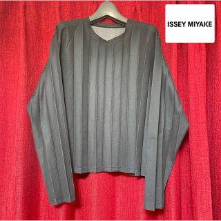 イッセイミヤケ(ISSEY MIYAKE)のISSEY MIYAKE(イッセイミヤケ)  プリーツプルオーバー(カットソー(長袖/七分))