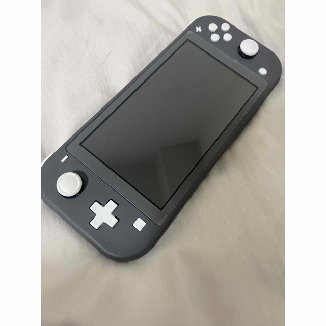 Nintendo Switch Lite グレー　ケース付き