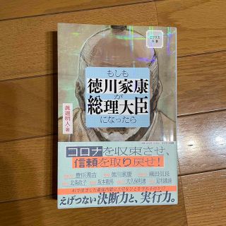 もしも徳川家康が総理大臣になったら ビジネス小説(その他)