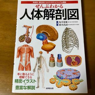 ぜんぶわかる人体解剖図 系統別・部位別にわかりやすくビジュアル解説(その他)