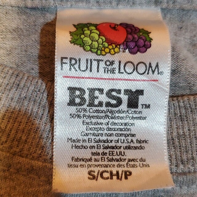 FRUIT OF THE LOOM(フルーツオブザルーム)のFRUIT OF THE LOOM プリント Sanderson Tシャツ メンズのトップス(Tシャツ/カットソー(七分/長袖))の商品写真