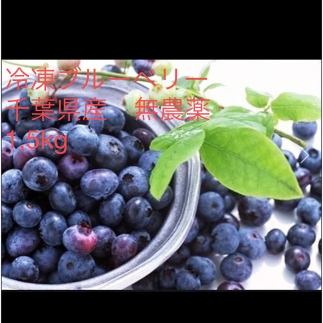 冷凍ブルーベリー　千葉県産　無農薬　1,5kg 食品/飲料/酒の食品(フルーツ)の商品写真