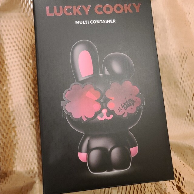 BT21 Lucky COOKY black edition container