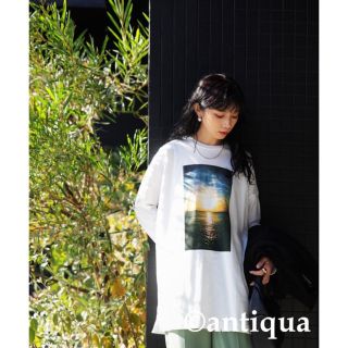 アンティカ(antiqua)の限定価格　antiqua 美品　着るだけでお洒落！フォトロンT(Tシャツ(長袖/七分))