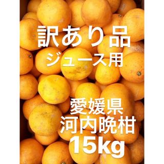 訳あり品　愛媛県産　宇和ゴールド　河内晩柑　ジュース用　15kg(フルーツ)