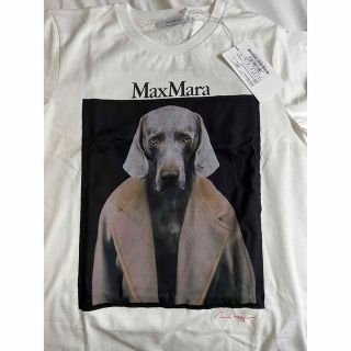 Max Mara - マックスマーラ 表参道店&オンライン限定版Tシャツの通販